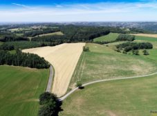 Paysage de champs et bois